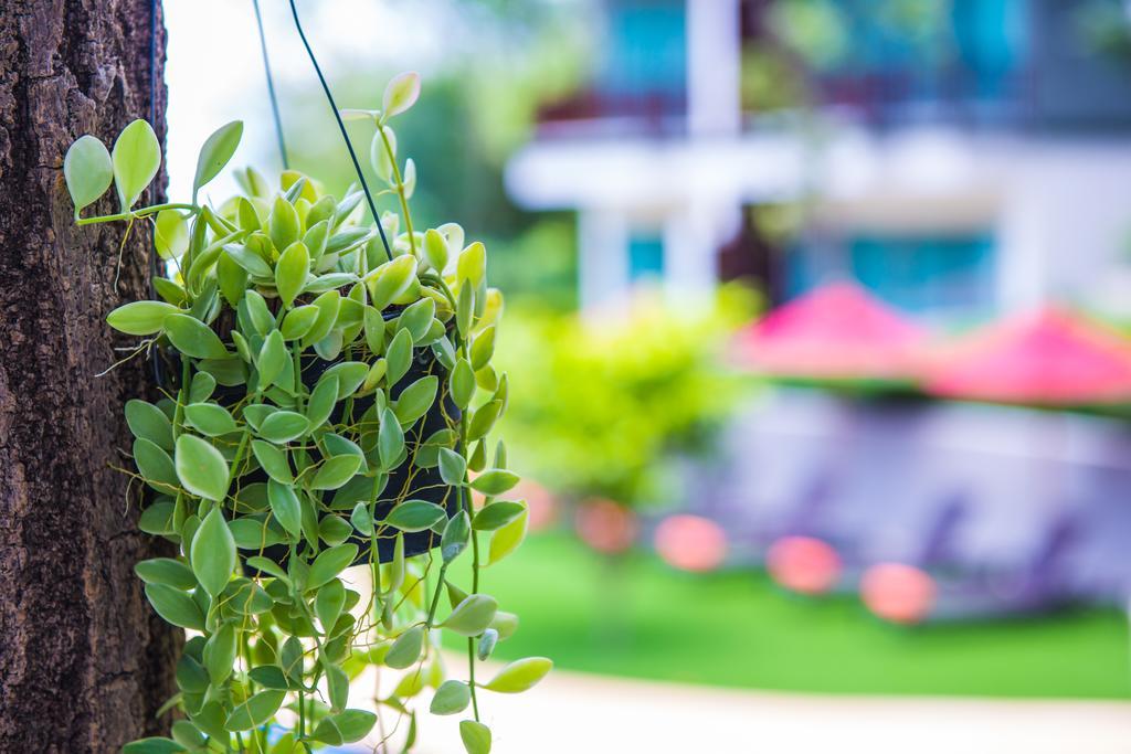 Crystal Wild Resort Panwa Phuket Exterior foto